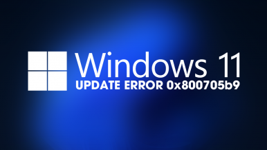 How to fix Windows 11 Update error 0x800705b9.