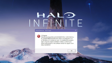 How to fix HaloInfinite.exe Bad Image error in Windows