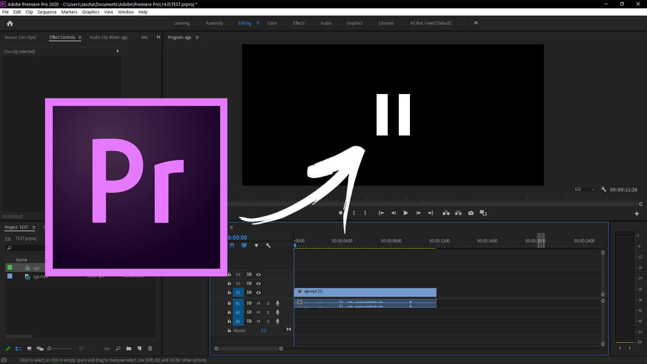premiere pro black screen