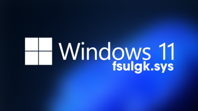 How to fix fsulgk.sys BSOD error on Windows 11.