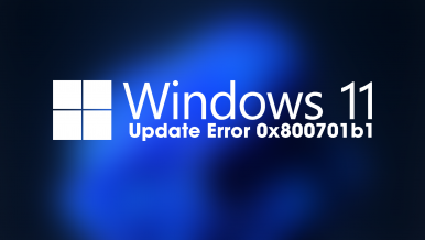 How to fix Windows 11 Update error 0x800701b1.