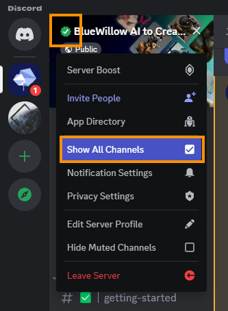 How to fix Rookie Channels Missing, Not Showing in the BlueWillow Discord