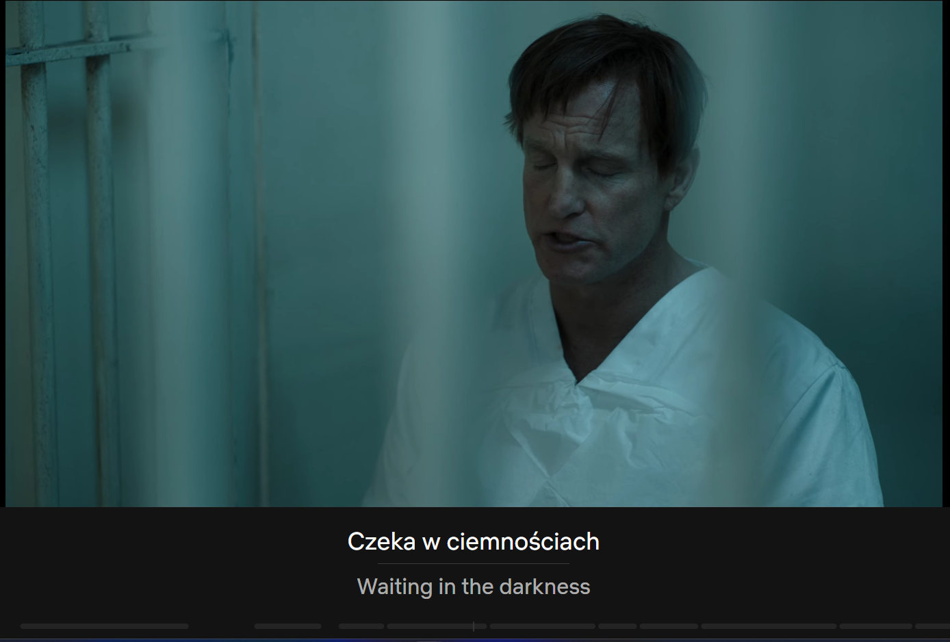 How to Watch Netflix with 2 subtitle languages. 
