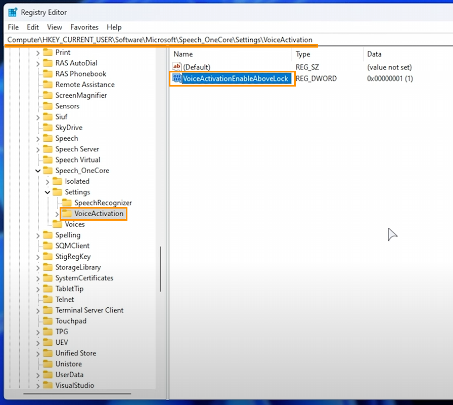 Fix Voice Typing Managed by Organization Error on Microsoft Windows