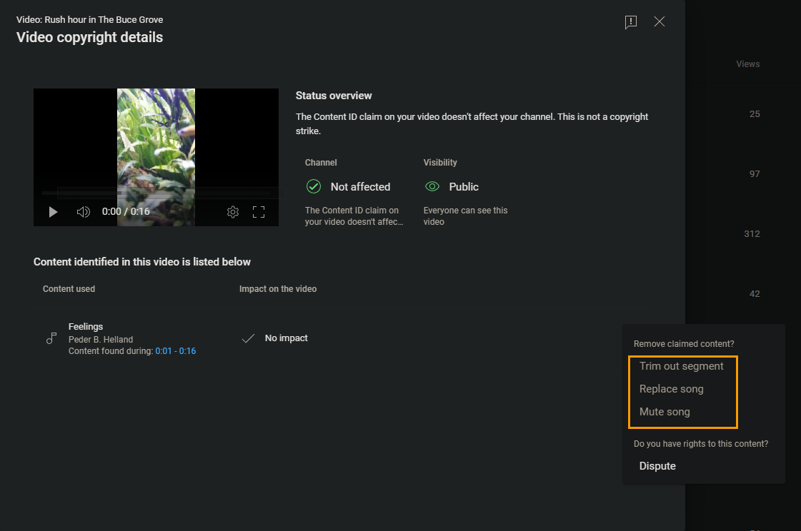 How to deal with Copyright Claims on YouTube Videos: Trim, Mute, Replace Dispute