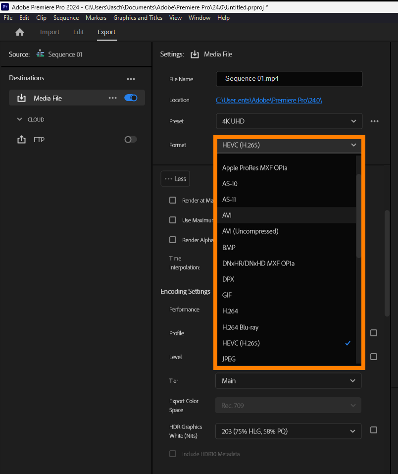 Premiere Pro Error Retrieving Frame guide