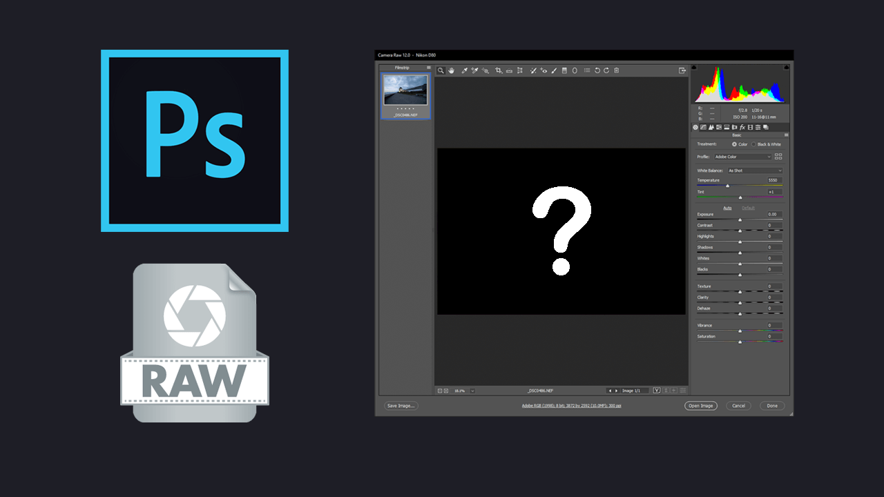 how_to_fix_camera_raw_black_preview_screen