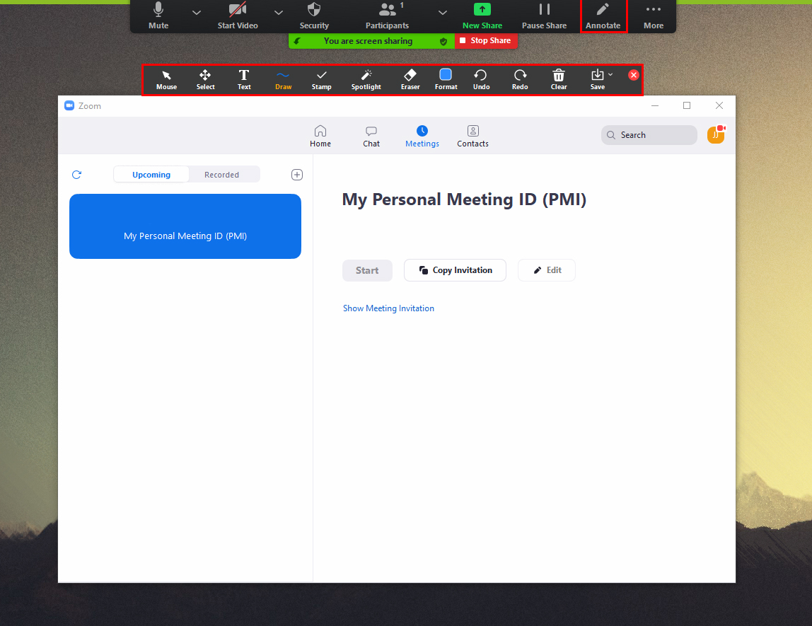 how do you screen share with annotation in zoom