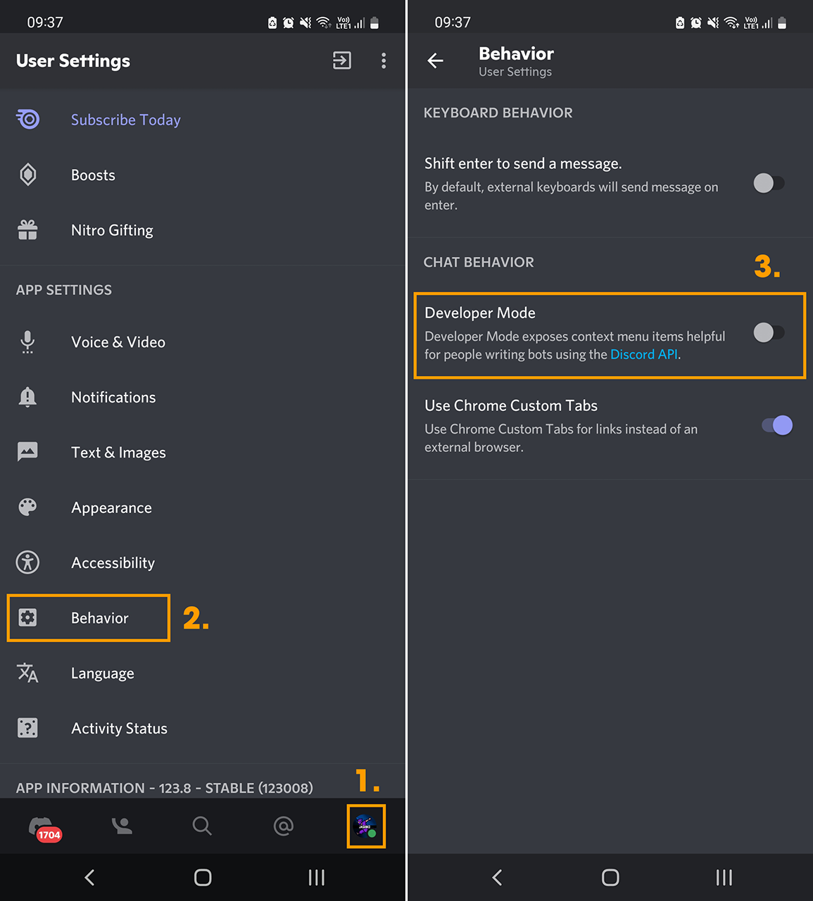 Enable Developer Options in Discord