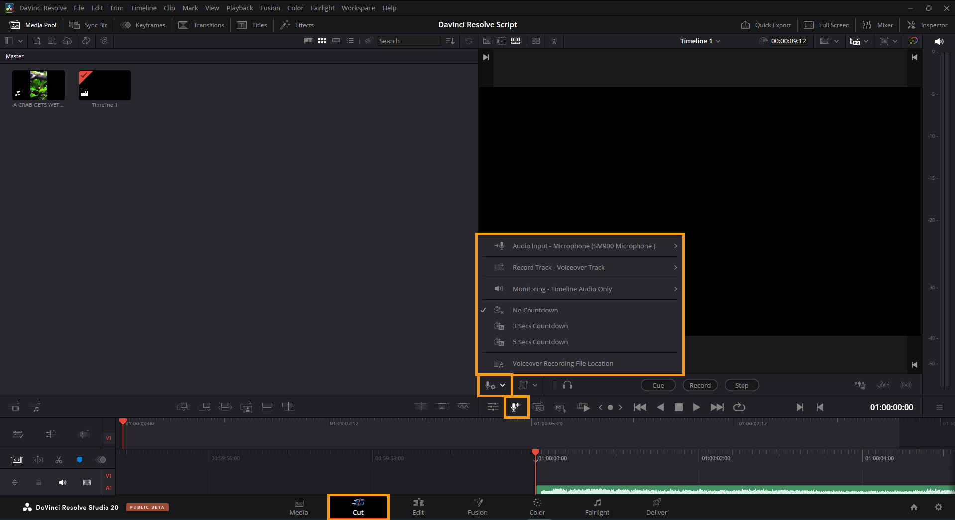 How to Record Voiceovers and Use IntelliScript in DaVinci Resolve