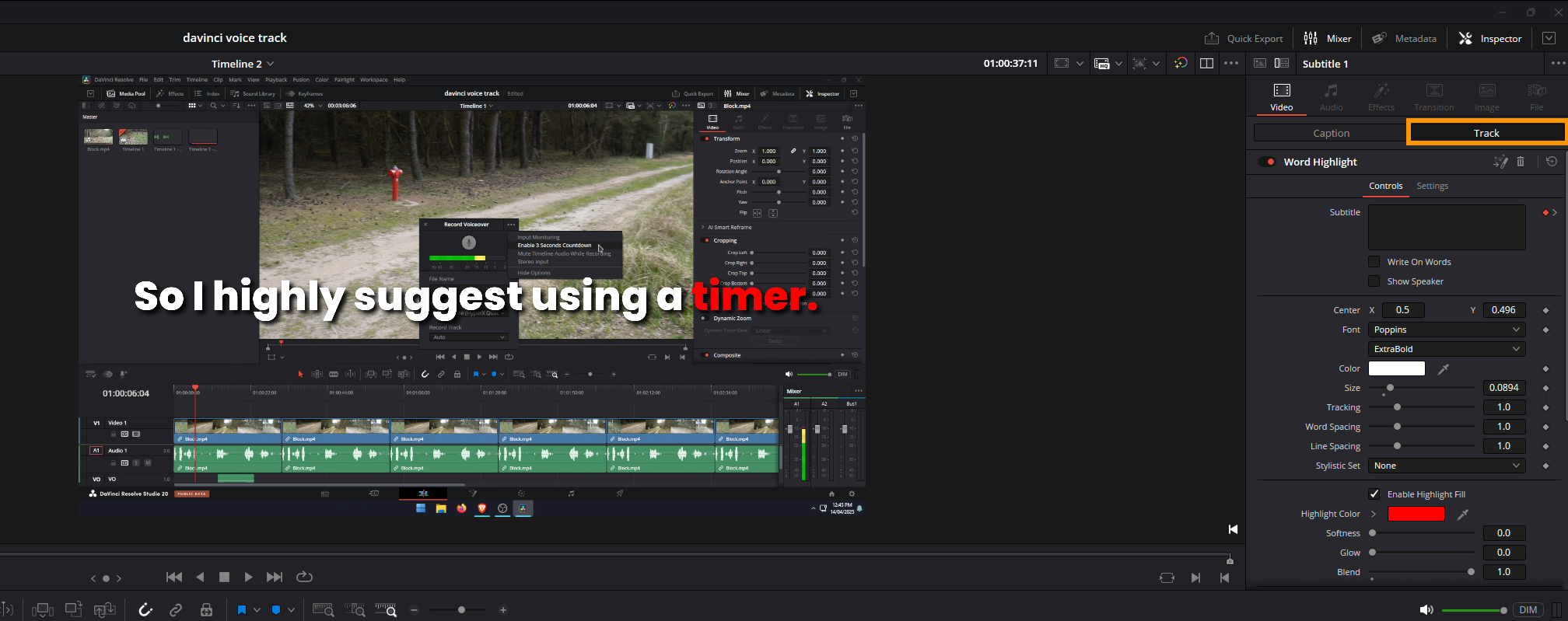 How to Create Animated Subtitles in DaVinci Resolve guide