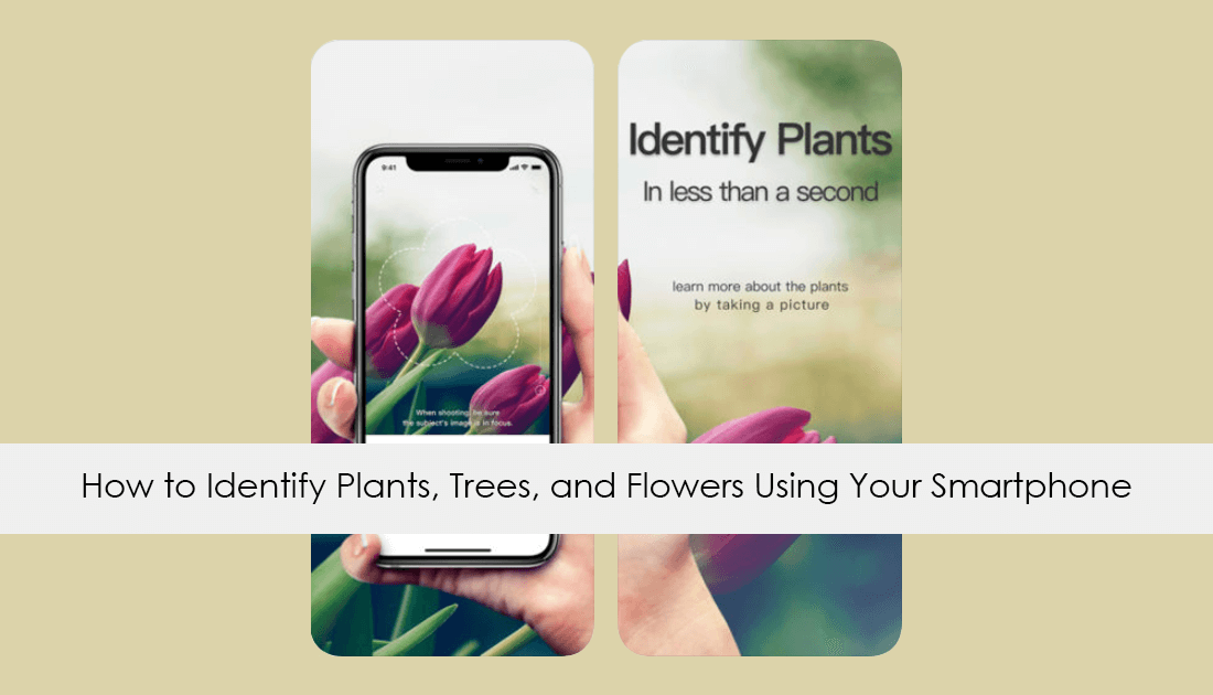 apps_for_identifying_plants