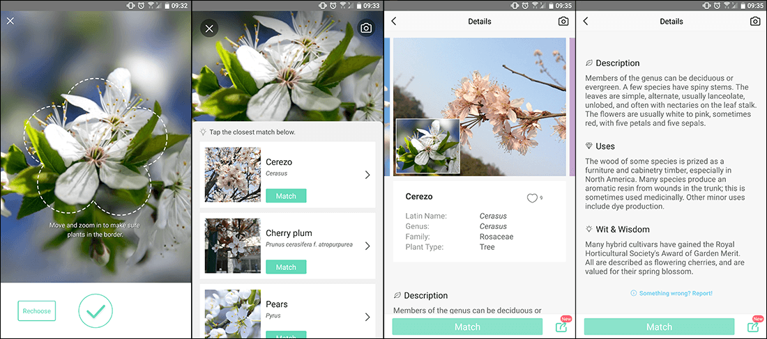 best apps for identifying plants and trees