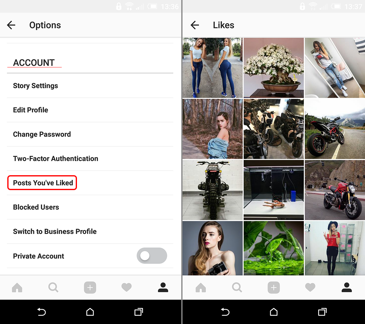 how_do_you_view_liked_posts_on_instagram
