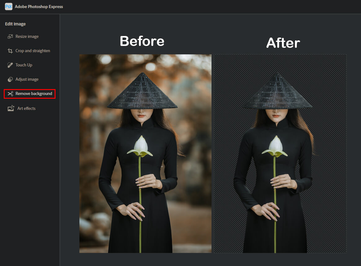 removing backgrounds automatically photoshop express