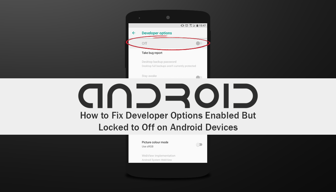 How_to_fix_developer_options_enabled_but_off