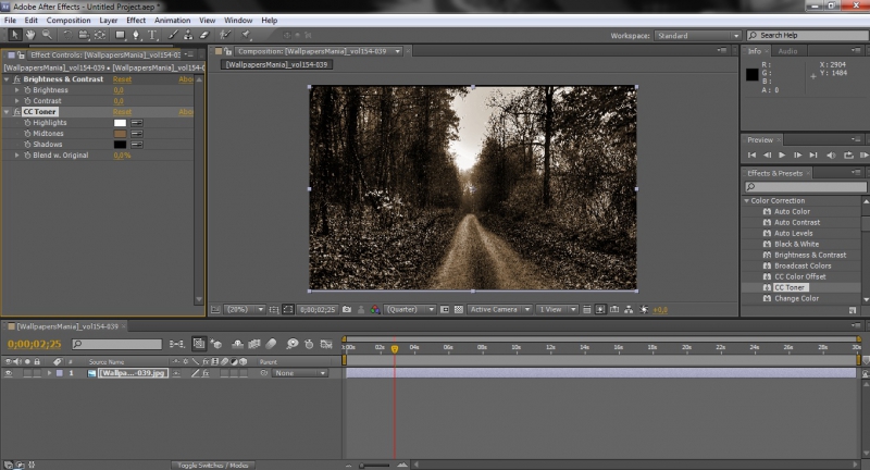 adobe after effects cs 5.5 32 bit download torrent